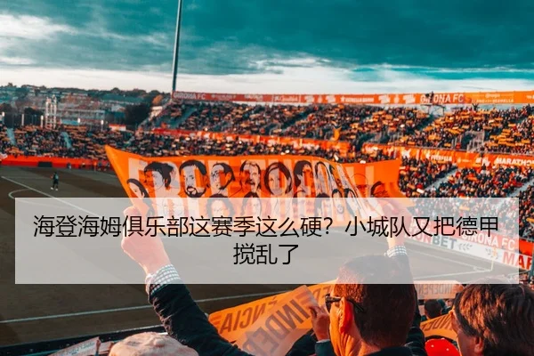 海登海姆俱乐部这赛季这么硬？小城队又把德甲搅乱了